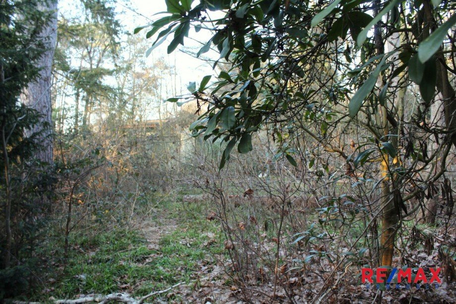 Grundst�cksansicht Einfamilienhaus Wedemark / Bissendorf-Wietze