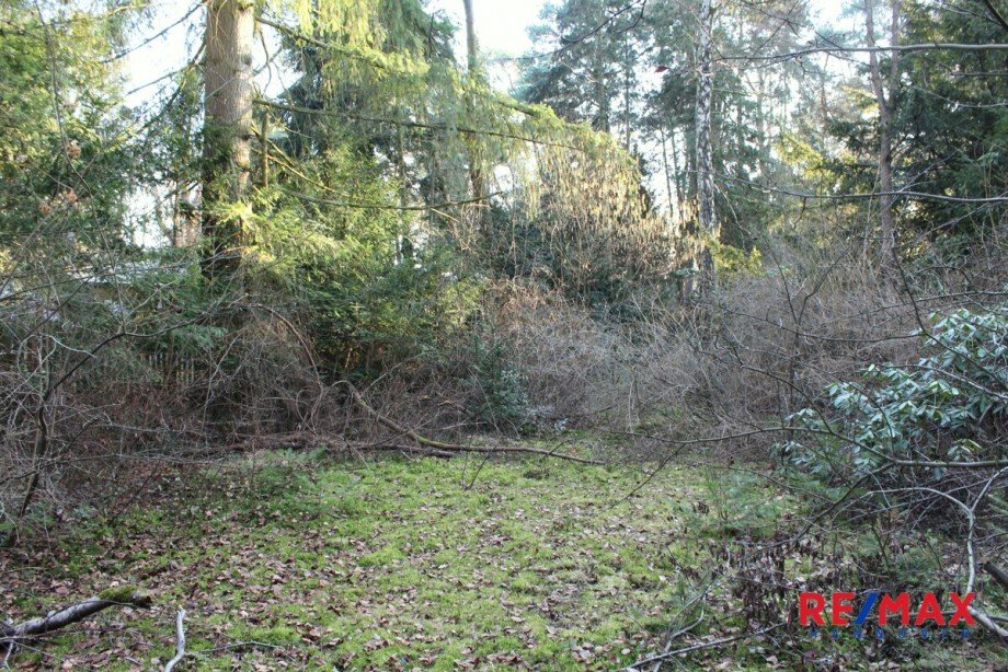 Grundst�cksansicht Wohngrundst�ck Wedemark / Bissendorf-Wietze