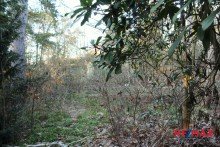 Grundst�cksansicht Grundst�ck mit Altbestand in guter Lage - Perfekt f�r Ihr Neubauprojekt!