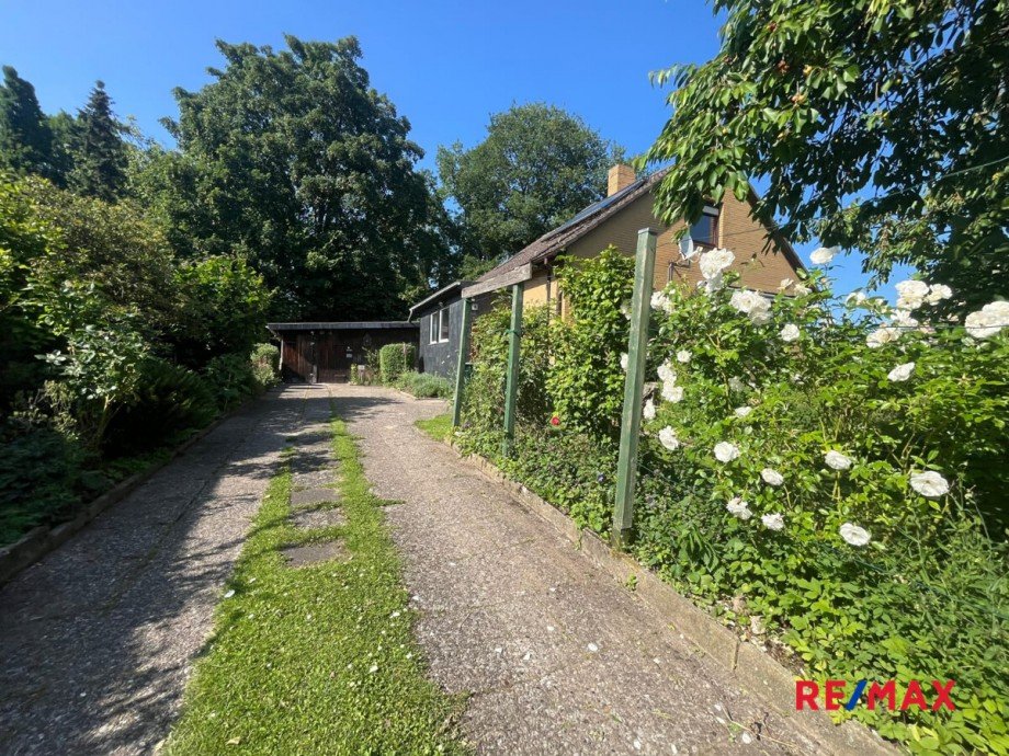 Blick von der Einfahrt im Sommer Einfamilienhaus Algermissen / L�hnde