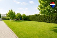 Garten Wohnen und Arbeiten perfekt vereint - Moderne Wohn- und Gewerbeimmobilie mit Halle in Seelze!