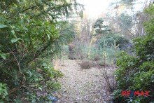Grundst�cksansicht XXL Grundst�ck f�r Ihr Einfamilienhaus in bester Lage
