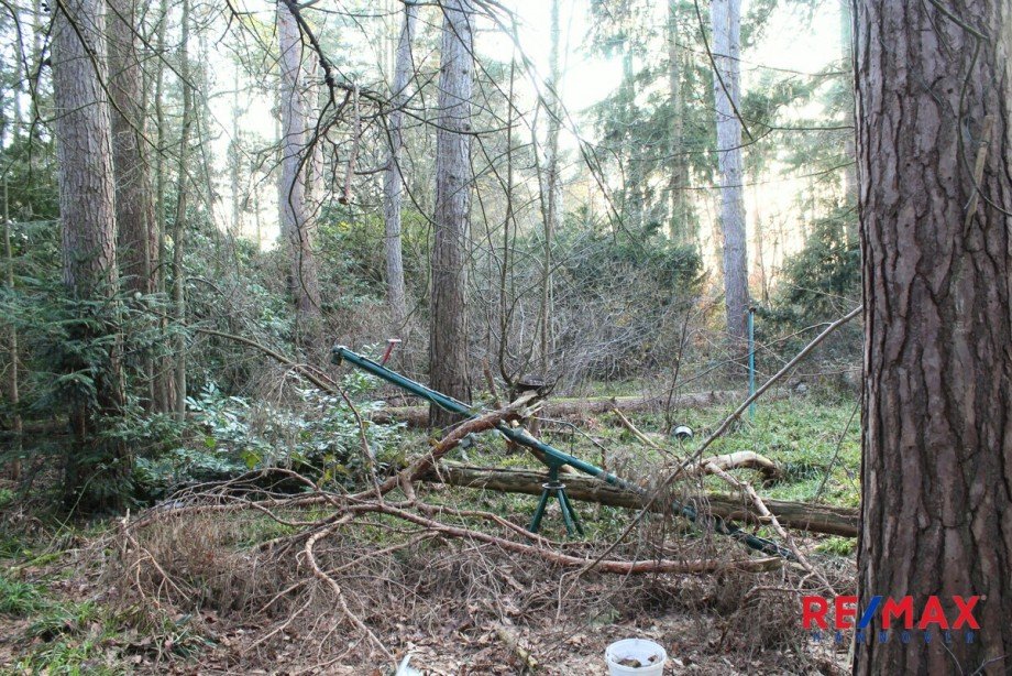 Grundst�cksansicht Einfamilienhaus Wedemark / Bissendorf-Wietze