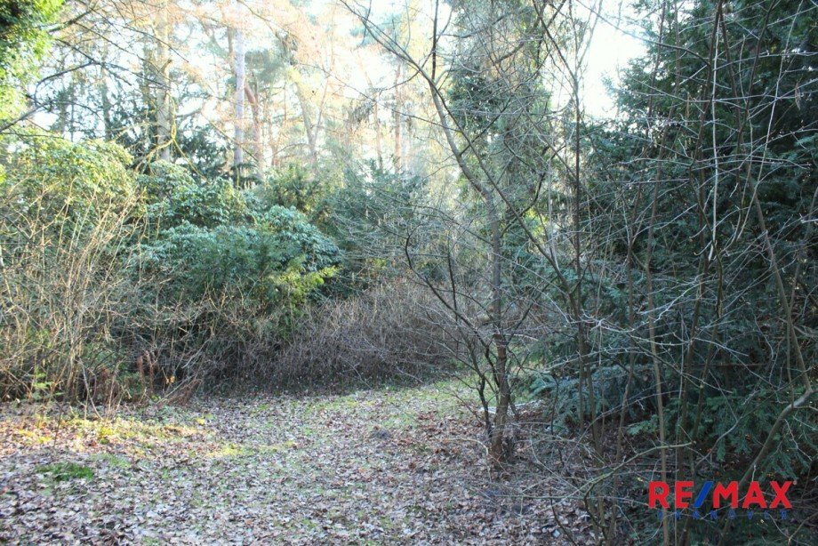 Grundst�cksansicht Einfamilienhaus Wedemark / Bissendorf-Wietze