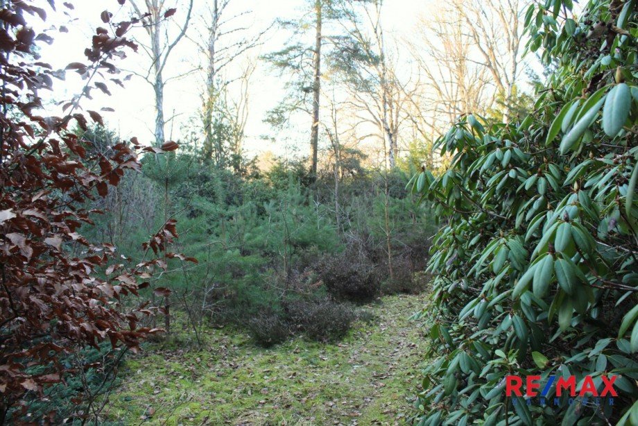 Grundst�cksansicht Einfamilienhaus Wedemark / Bissendorf-Wietze