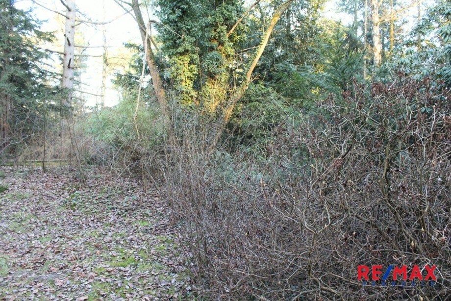 Grundst�cksansicht Einfamilienhaus Wedemark / Bissendorf-Wietze