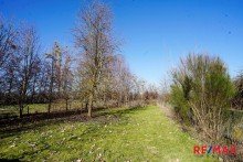 Gartenansicht hinten Doppelhaush�lfte mit gro�em Garten in Wennigsen-Evestorf